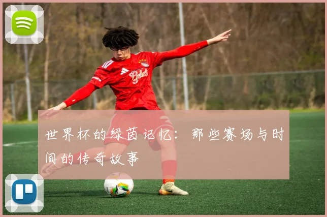 世界杯的绿茵记忆：那些赛场与时间的传奇故事