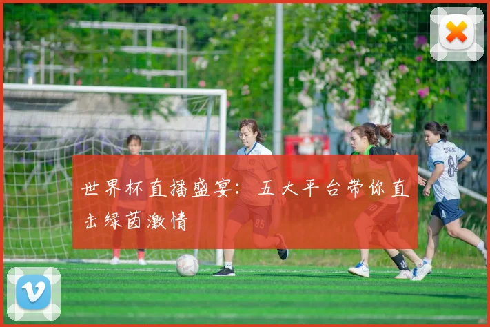 世界杯直播盛宴：五大平台带你直击绿茵激情