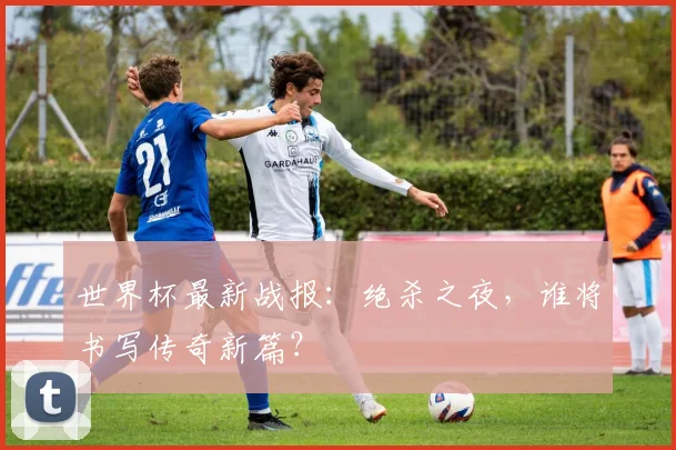 世界杯最新战报：绝杀之夜，谁将书写传奇新篇？