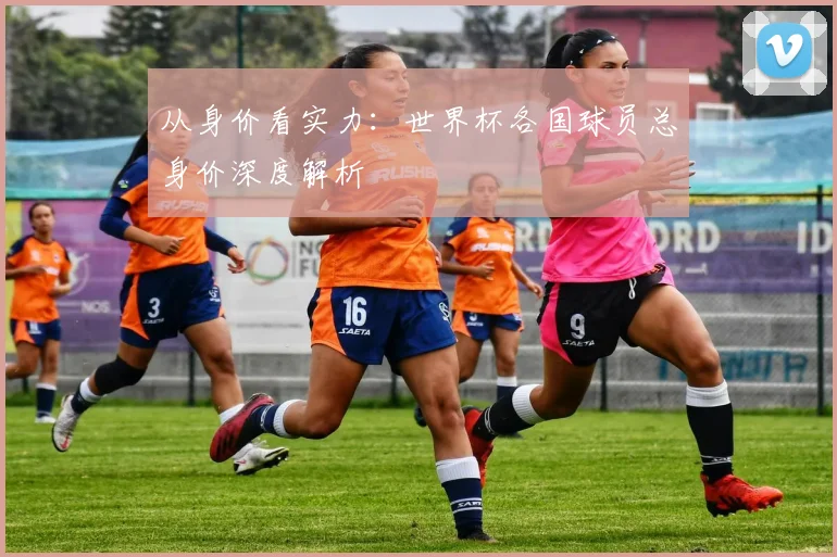 从身价看实力：世界杯各国球员总身价深度解析