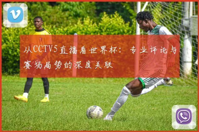 从CCTV5直播看世界杯:专业评论与赛场局势的深度关联