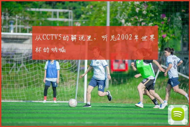 从CCTV5的解说里,听见2002年世界杯的呐喊