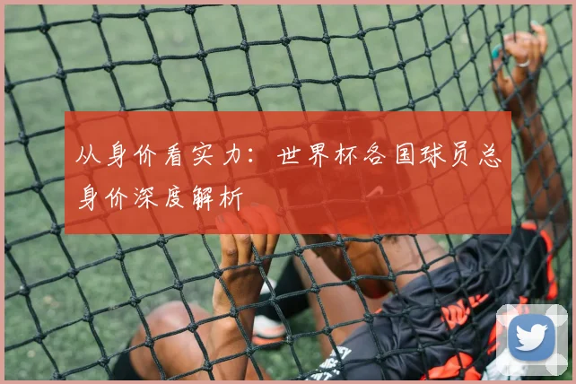 从身价看实力：世界杯各国球员总身价深度解析