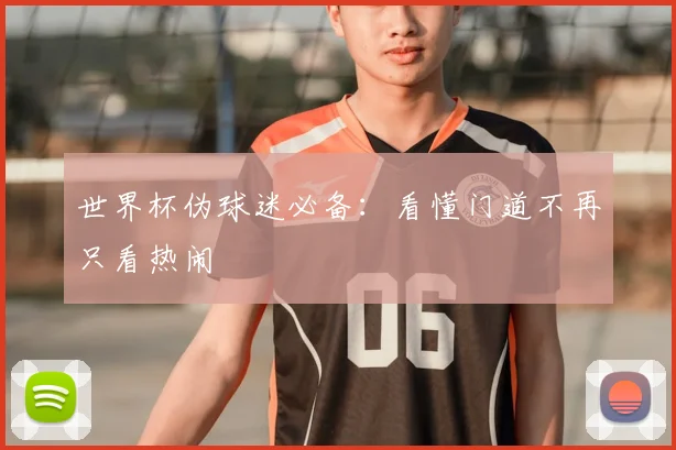 世界杯伪球迷必备:看懂门道不再只看热闹