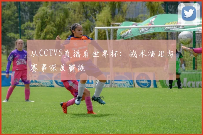 从CCTV5直播看世界杯:战术演进与赛事深度解读