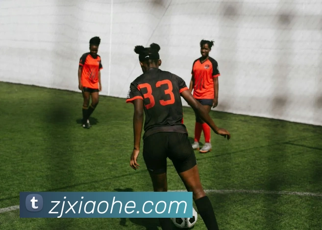 mksports登录入口平台生态图