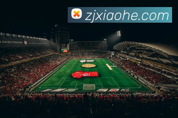 未来规划